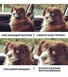     
: A70410B0-D23F-4FB7-B256-EB2F36053D94.jpg
: 76
:	82.2 
ID:	13106584