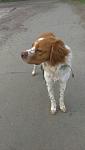     
: IMG-5f68f19ef1e34c1dcce667c2f2b292b2-V.jpg
: 76
:	66.4 
ID:	13106701
