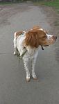     
: IMG-d7581a118a85cf90fa7d002ea79628b0-V.jpg
: 68
:	70.2 
ID:	13106702