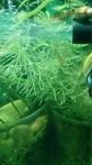     
: IMG_20190430_201355.jpg
: 42
:	59.7 
ID:	13107494