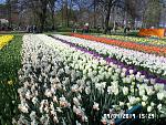     
: SAM_2656.jpg
: 22
:	292.6 
ID:	13107964