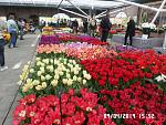     
: SAM_2678.jpg
: 22
:	219.0 
ID:	13107966
