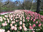     
: SAM_2702.jpg
: 17
:	243.5 
ID:	13107968