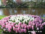     
: SAM_2700.jpg
: 26
:	283.1 
ID:	13107970