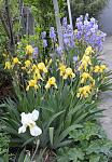     
: DSC_0200.jpg
: 21
:	151.4 
ID:	13108604