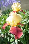     
: DSC_0014.jpg
: 22
:	67.2 
ID:	13108605