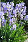     
: DSC_0006.jpg
: 17
:	128.8 
ID:	13108606