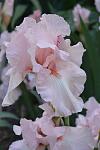     
: DSC_0202.jpg
: 20
:	53.9 
ID:	13108607