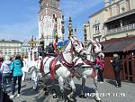     
: SAM_3263.jpg
: 27
:	204.7 
ID:	13111320