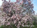     
: SAM_3247.jpg
: 25
:	308.0 
ID:	13111321