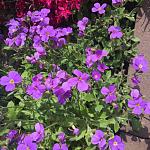     
: 4CF92633-E463-4995-ACC8-DD1AAC92E163.jpg
: 50
:	121.8 
ID:	13111572