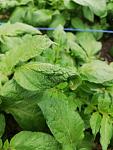    
: IMG_20190507_095854.jpg
: 13
:	77.2 
ID:	13115191
