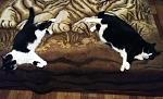     
: IMG_20170619_020146.jpg
: 13
:	89.4 
ID:	13118539