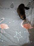     
: IMG_20190414_115945.jpg
: 11
:	101.3 
ID:	13118540
