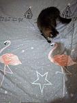     
: IMG_20190414_115944.jpg
: 12
:	101.4 
ID:	13118541