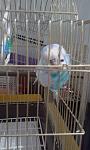     
: 20190514_120920.jpg
: 14
:	77.4 
ID:	13120306