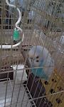     
: 20190514_120725.jpg
: 12
:	72.5 
ID:	13120307