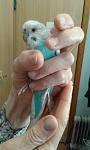     
: 20190514_113957.jpg
: 13
:	55.9 
ID:	13120308