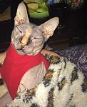     
: IMG_1372.jpg
: 75
:	103.5 
ID:	13120314