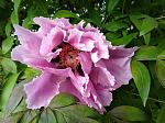     
: IMG_20190506_184247.jpg
: 22
:	110.4 
ID:	13120561