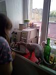     
: IMG_20190514_190148.jpg
: 8
:	82.7 
ID:	13120876
