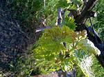     
: WP_20190513_18_07_56_Pro.jpg
: 22
:	175.5 
ID:	13122238