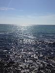     
: IMG_0003.jpg
: 36
:	146.2 
ID:	13122410