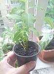     
: P90516-183127.jpg
: 15
:	81.3 
ID:	13122442
