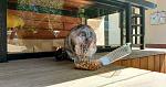     
: IMG_20190518_143525.jpg
: 155
:	126.8 
ID:	13123406