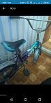     
: S90518-205745.jpg
: 30
:	30.9 
ID:	13123542