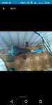     
: S90518-210006.jpg
: 29
:	22.7 
ID:	13123545