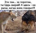     
: 57750763_356191988351107_3649705204883914752_n.jpg
: 31
:	94.9 
ID:	13123760