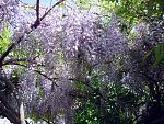     
: 19. 05 (76).jpg
: 11
:	147.8 
ID:	13125213