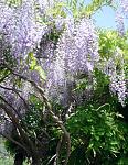     
: 19. 05 (89).jpg
: 12
:	148.7 
ID:	13125215