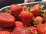     
: IMG_20190521_111938.jpg
: 18
:	172.2 
ID:	13125667