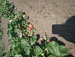     
: IMG_20190521_111818.jpg
: 18
:	301.5 
ID:	13125672