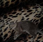     
: SAM_3491.jpg
: 55
:	99.1 
ID:	13126148