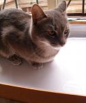     
: SAM_3486.jpg
: 49
:	67.6 
ID:	13126151