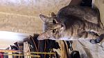     
: 20190504_190203.jpg
: 46
:	97.0 
ID:	13126152