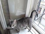     
: SAM_0649.jpg
: 47
:	62.2 
ID:	13126154