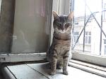     
: SAM_0652.jpg
: 53
:	63.1 
ID:	13126155