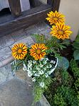     
: P90524-105416.jpg
: 22
:	152.6 
ID:	13127680