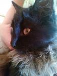     
: IMG-2812a7c51344d24717504ded9846363d-V.jpg
: 130
:	93.6 
ID:	13127869