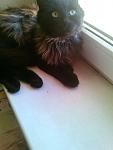     
: IMG-fbb614c775815d6249e65446e308024b-V.jpg
: 129
:	71.6 
ID:	13127871