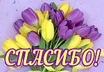     
: 8ddcc75468b342d1e5899cf3d3490d12-thumb_720.jpg
: 19
:	62.8 
ID:	13128930