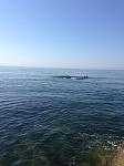     
: IMG_0031.jpg
: 32
:	69.4 
ID:	13129425