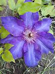     
: P90526-140705.jpg
: 21
:	124.5 
ID:	13129737