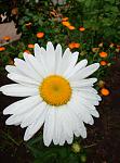     
: P90525-165700.jpg
: 17
:	78.1 
ID:	13129738
