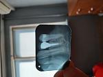     
: IMG_20190527_160526.jpg
: 265
:	62.0 
ID:	13129876