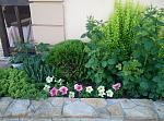     
: P90529-082315.jpg
: 18
:	206.6 
ID:	13131640
